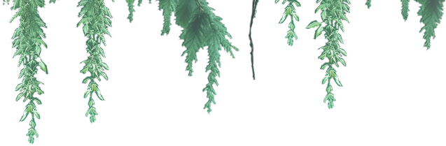 Decor Left